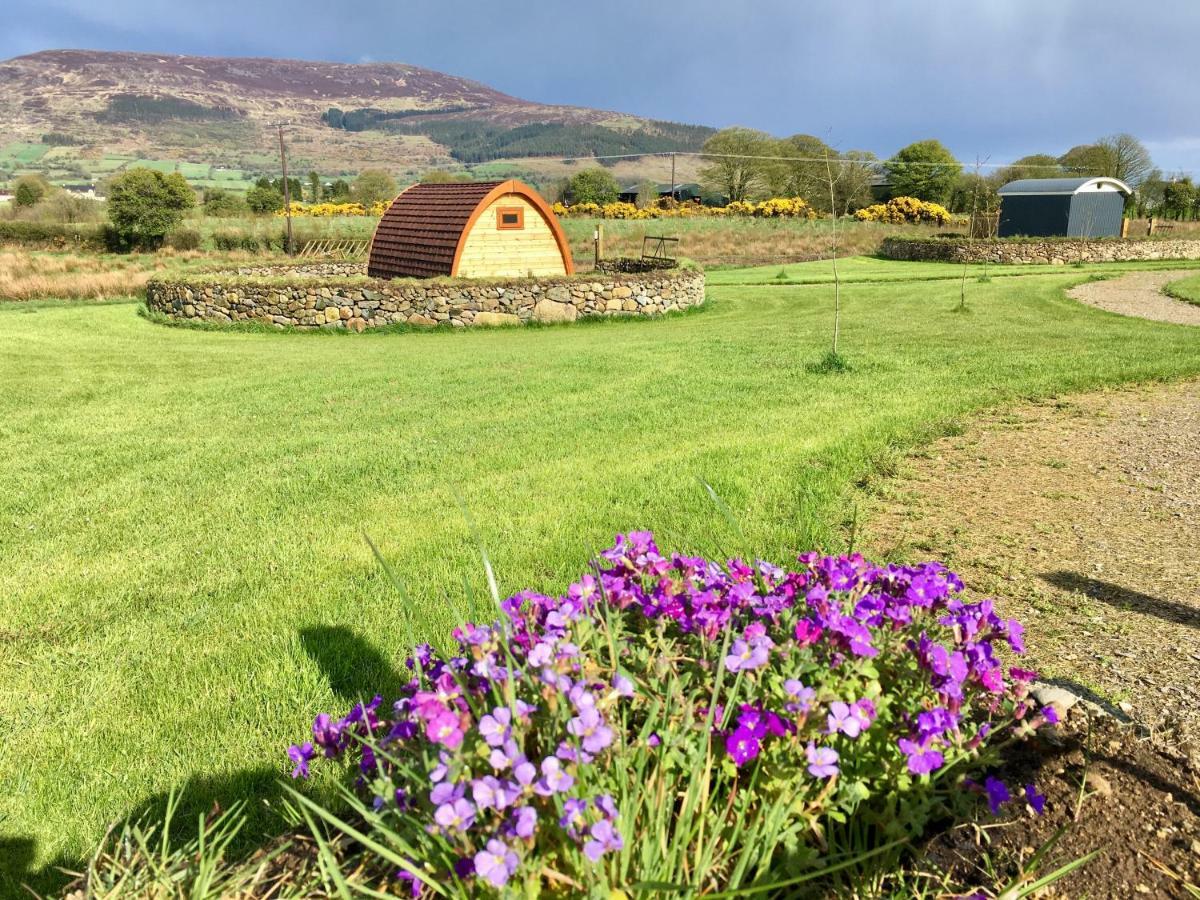 Bluebell Lane Glamping Hotel Newry Bagian luar foto